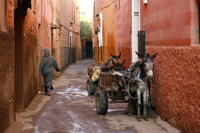 TUI Tours | Imperial Cities of Morocco, 8 Days From Marrakesh - Customer Reviews