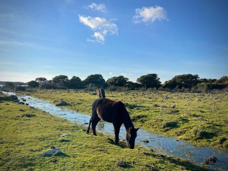 Tuili: Wild Giara Tour - Exploring the Route and Its Highlights