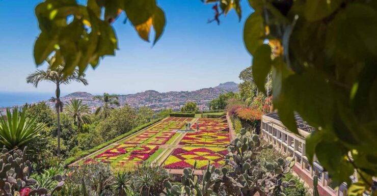 Tuk Tuk Botanical Garden - Madeira Island - Tour Price and Duration