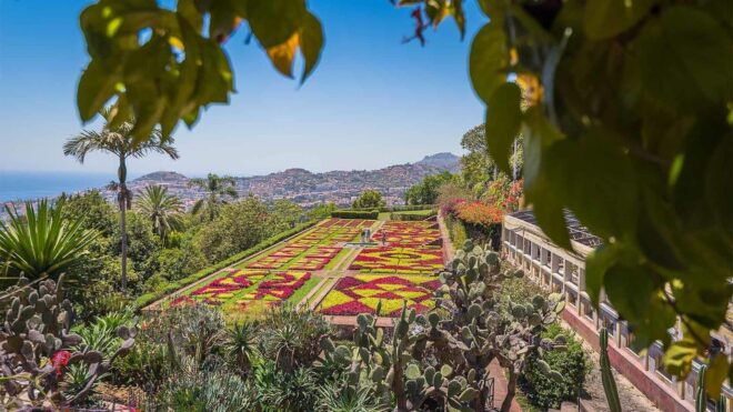 Tuk Tuk Botanical Garden - Madeira Island - Booking Information Details
