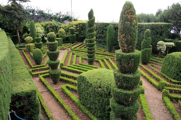 Tuk Tuk Botanical Garden - Madeira Island - Booking Details