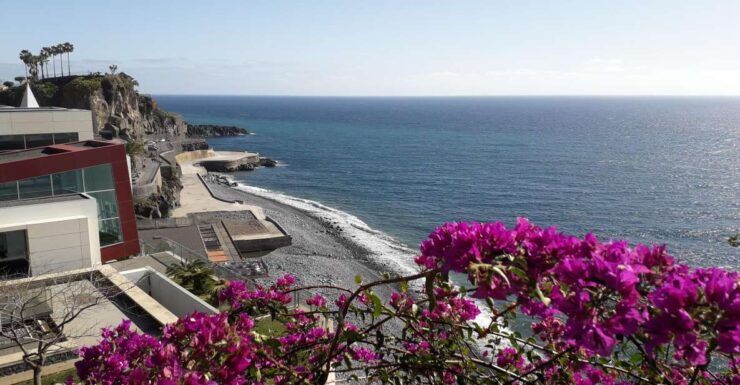 Tuk Tuk Câmara De Lobos - Madeira Island - Tour Details
