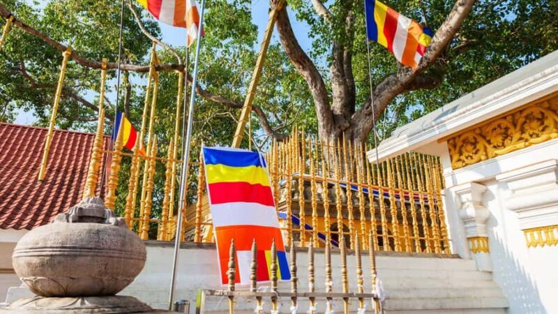 Tuk Tuk Day tour Anuradhapura Ancient City - Final Thoughts: Who Will Love This Tour?