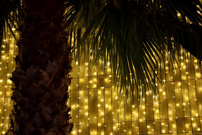 Tuk Tuk Funchal Magic Christmas Lights - Overview of Tuk Tuk Funchal Magic Christmas Lights