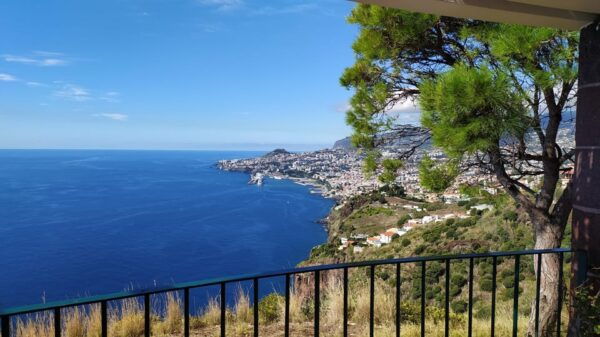 Tuk Tuk Halfday Private Tour - Madeira Island - Scenic Viewpoints