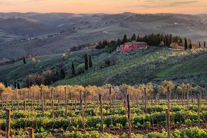 Tuk Tuk in Chianti - Tuk Tuk Tour Highlights