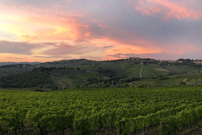 Tuk Tuk in Chianti - The Sum Up