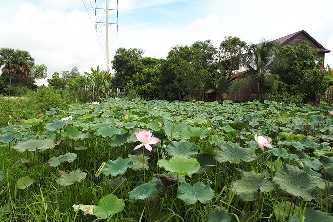 Tuk Tuk Journey: Exploring Rural Life and Silk Farm Craftsmanship - Authenticity & Real Experiences from Travelers