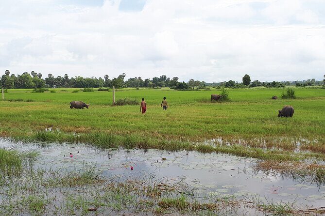 Tuk Tuk Journey: Exploring Rural Life and Silk Farm Craftsmanship - Why This Tour Offers Great Value
