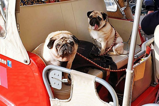 Tuk Tuk Lisbon a Discovery À La Carte Without Fatigue. Lisbon Differently.01 - Overview and Experience