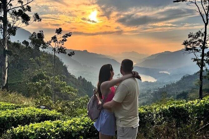 Tuk Tuk Nuwara Eliya Tea Falls Adventure - Who Will Love This Tour?