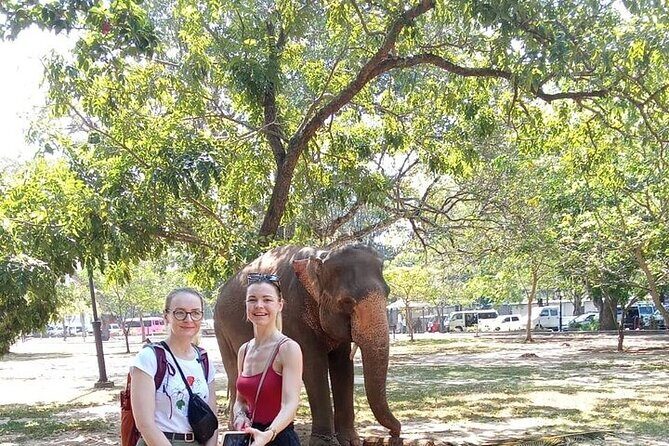 Tuk Tuk Private Tour Exploring Sri Lanka Capital of Colombo - Why Choose a Tuk Tuk Tour for Colombo?