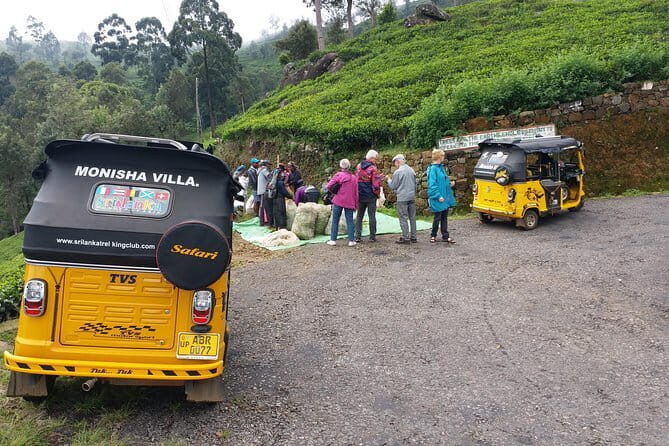 Tuk Tuk safari and Picnic in The Tea Plantation from Ella,Haputale & Bandarawela - Discovering the Charm of a Tuk Tuk Safari in Sri Lanka’s Tea Heartland