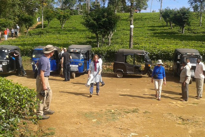 Tuk Tuk Safari and Picnic in the Tea Plantation From Ella,Haputale & Bandarawela - Cancellation Policy