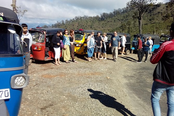 Tuk Tuk Safari and Picnic in the Tea Plantation From Ella,Haputale & Bandarawela - Common Questions
