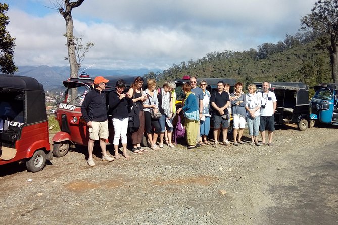 Tuk Tuk Safari and Picnic in the Tea Plantation From Ella,Haputale & Bandarawela - The Sum Up
