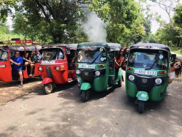 Tuk Tuk Safari Arugambay - Tips for a Memorable Safari Experience