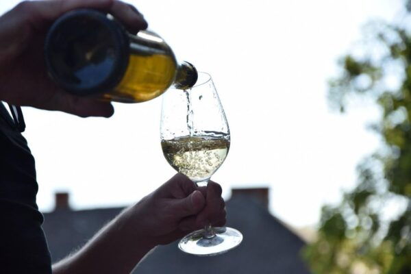 Tuk-Tuk Tour in Guimarães + Green Wine Tour and Tastings - Green Wine Tour Location
