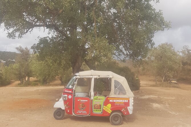 Tuk Tuk Tour- the Best Way to See Coast and Country Side - Customer Review