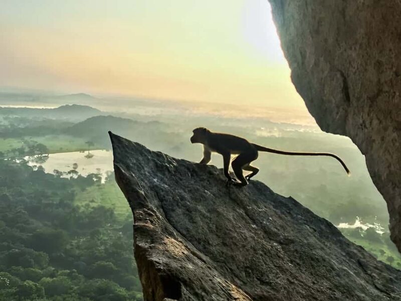 Tuk Tuk tour to Mihintale at Anuradhapura ( tuktuk ) - Authentic Experiences and Hidden Gems