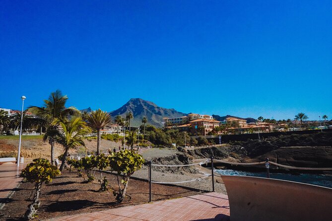 Tuk Tuk Tours in Costa Adeje - Cancellation Policy