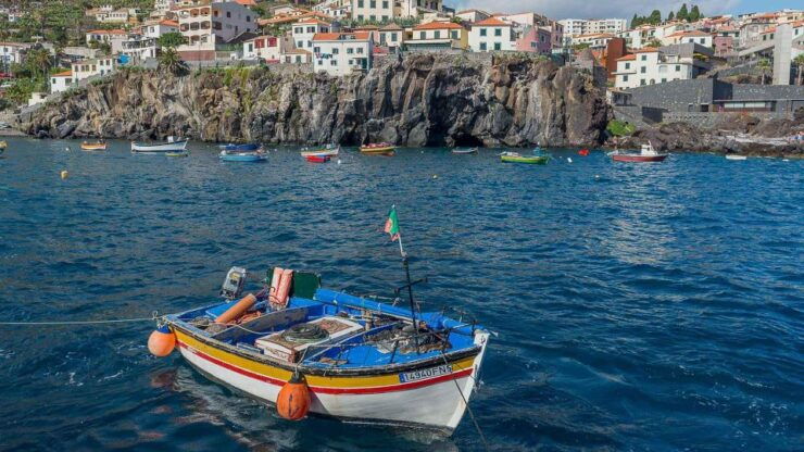 Tuk Tuk Wine Tour - Madeira Island - Good To Know