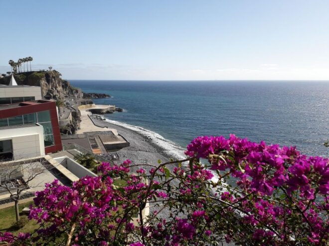 Tuk Tuk Wine Tour - Madeira Island - Inclusions