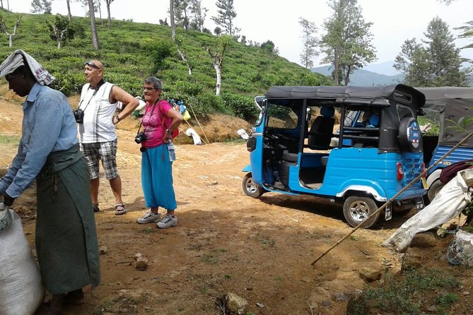 Tuktuk Safari in Tea & Spice Plantation,View Points,Upper Diyaluma Waterfalls, - Fitness Level and Group Size