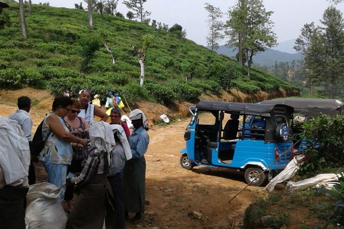 Tuktuk Safari in Tea & Spice Plantation,View Points,Upper Diyaluma Waterfalls, - Reviews and Rating