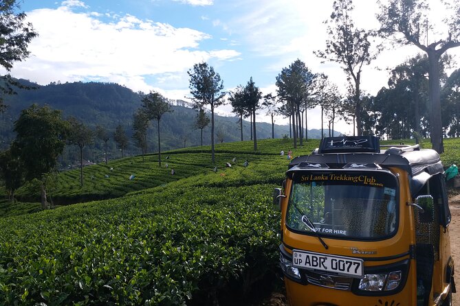 Tuktuk Safari in Tea & Spice Plantation,View Points,Upper Diyaluma Waterfalls, - Expectations and Additional Information