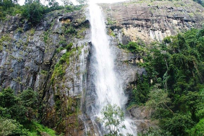 Tuktuk Safari in Tea & Spice Plantation,View Points,Upper Diyaluma Waterfalls, - Directions and Itinerary