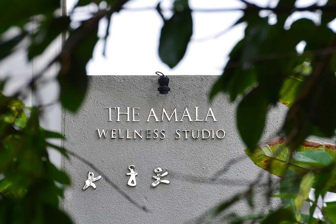 TULA Wellness Half Day Package With Nadis Flow - Package Overview
