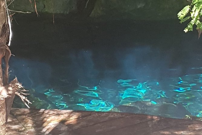 Tulaka Cenote Experience - Cancellation Policy