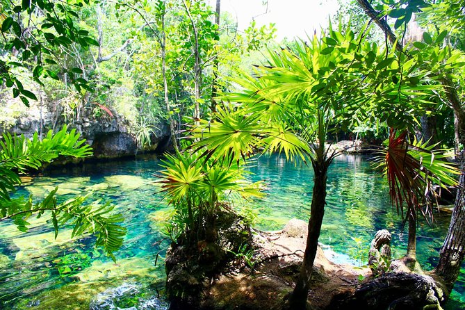 Tulaka Cenote Experience - Questions and Contact Information