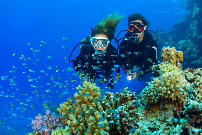 Tulamben Diving USS Liberty Shipwreck Scuba Dive - Private Package With Hotel Transfers