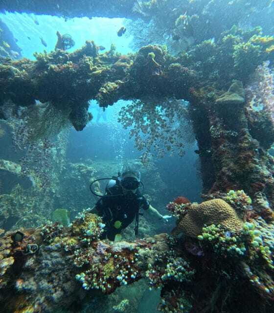 Tulamben Liberty Wreck 3 dives daytrip from South Bali - Who Should Consider This Tour?