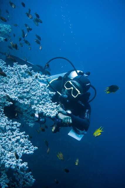Tulamben Liberty Wreck 3 dives daytrip from South Bali - Final Thoughts: Is This Tour for You?