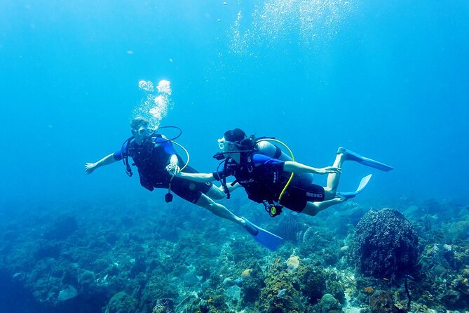 Tulamben Private Fun Dive for Certified Diver at Shipwreck and Coral Garden - Dive Overview and Inclusions