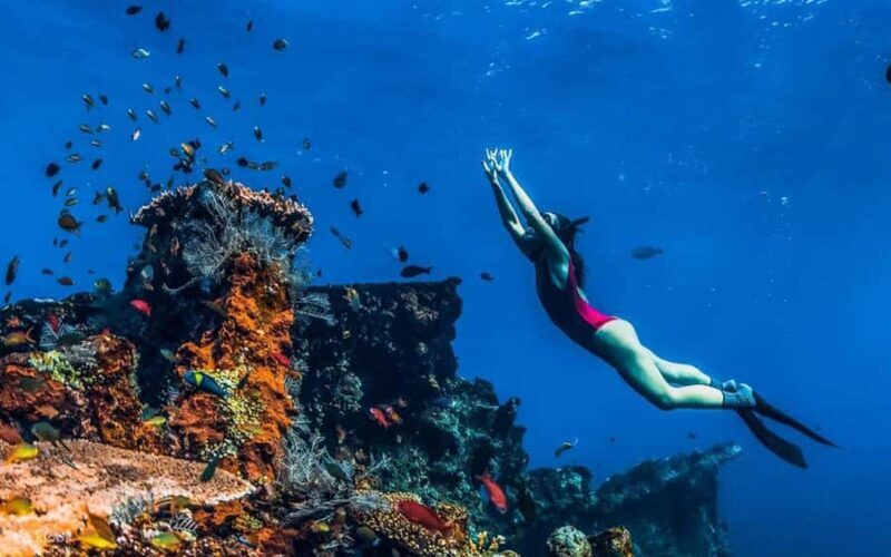 Tulamben: Underwater Paradise Scuba Diving Experience - Why the Experience is Worth It