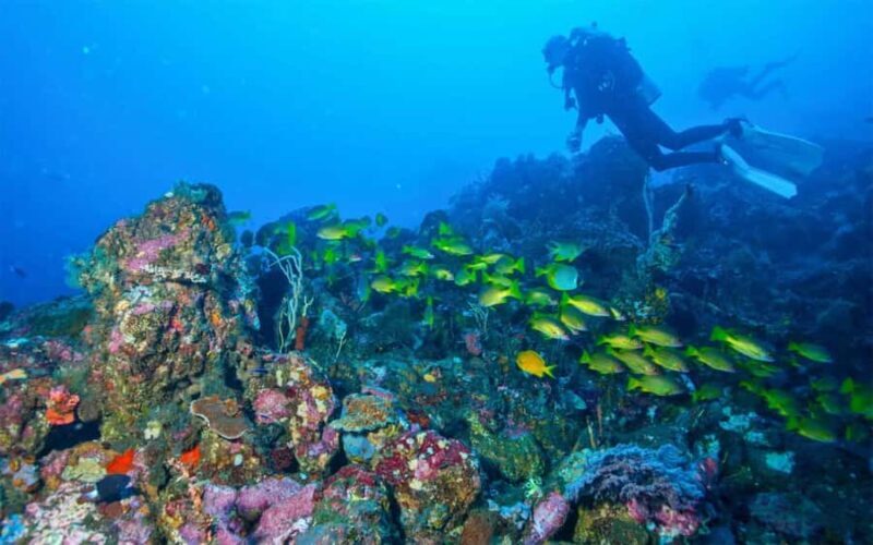 Tulamben: Underwater Paradise Scuba Diving Experience - Good To Know