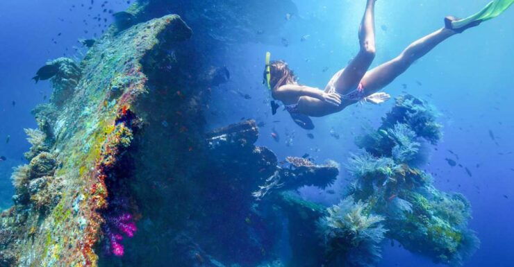 Tulamben: USAT Liberty Shipwreck Full-Day Snorkeling Trip - Experience Highlights