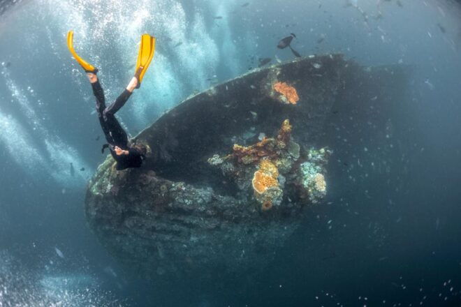 Tulamben: USAT Liberty Shipwreck Full-Day Snorkeling Trip - Inclusions