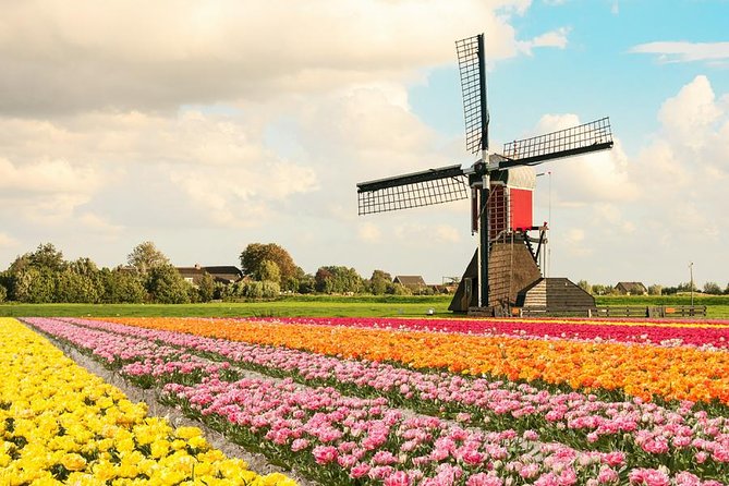 Tulip Experience and Keukenhof Flower Gardens Tour From Amsterdam - Ideal Choice for Time-Budgeted Visitors