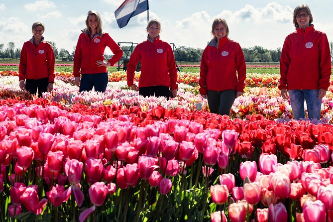 Tulip Experience With Keukenhof and Windmills Tour From Amsterdam - Private Tour Experience
