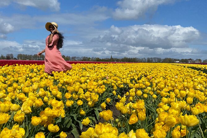 Tulip Field With a Dutch Windmill Tour From Amsterdam - Traveler Reviews