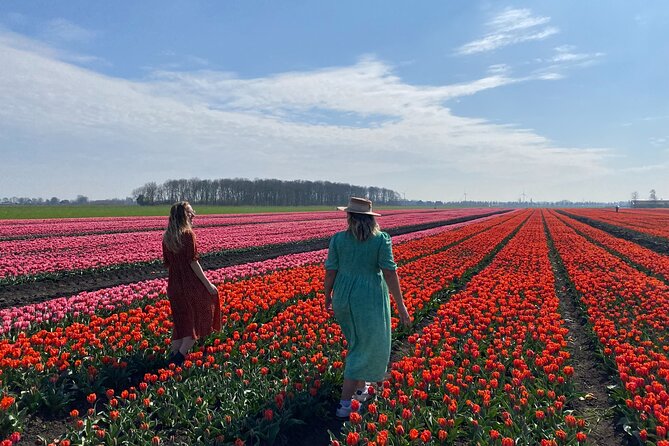 Tulip Field With a Dutch Windmill Tour From Amsterdam - Viator Help Center