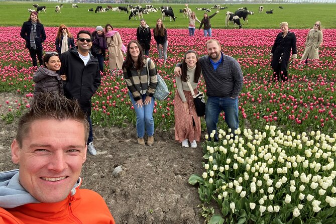 Tulip Field With a Dutch Windmill Tour From Amsterdam - What to Expect