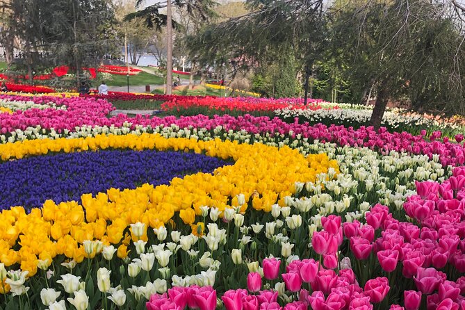 Tulip Guided Tour in Emirgan Park With Bosphorus Ferry Ride - Cancellation and Weather Policy