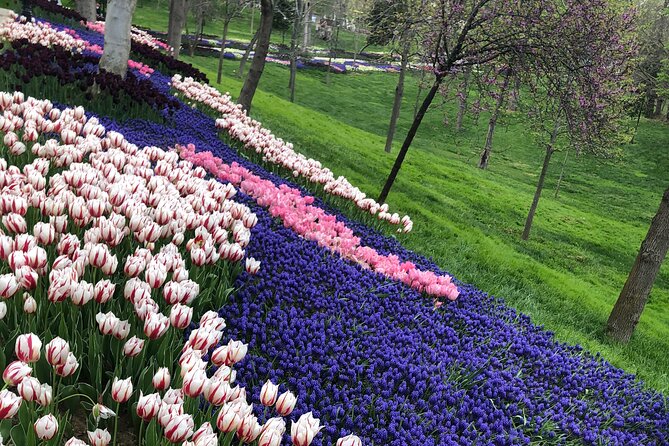 Tulip Guided Tour in Emirgan Park With Bosphorus Ferry Ride - Ferry Ride and Park Tour Experience