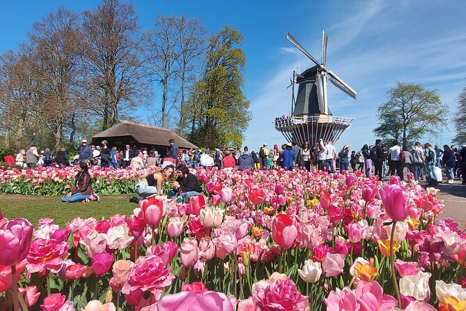Tulip Mania: Keukenhof , Tulip Farm, and Amsterdam Transfer - Exploring the Historic Area of Keukenhof